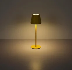 Globo Akku-Tischleuchte Vannie I