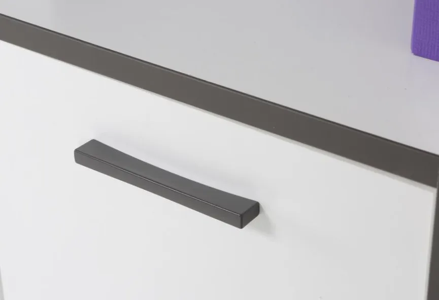 FORTE Aktenschrank 2-trg. Keflavik