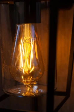 Lutec Außenwandleuchte West