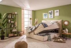 Boxspringbett Madden 180 x 200 cm