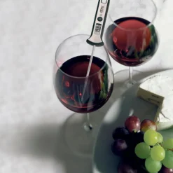 Best Bratenthermometer Scala Sonstige Küchenkleingeräte