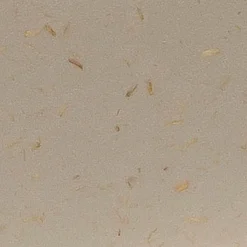 Koziol Butterdose Rio