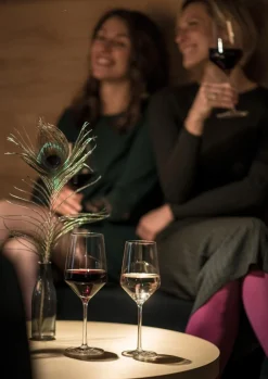 ZWIESEL GLAS Cabernetglas Pure 540 ml