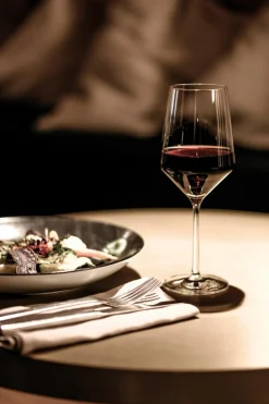 ZWIESEL GLAS Cabernetglas Pure 540 ml