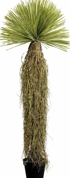 KARE DESIGN Deko Pflanze Yuca Rostrata 55919