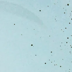 CreaTable Geschirr|Dessertteller Nature Collection Ø 21 cm