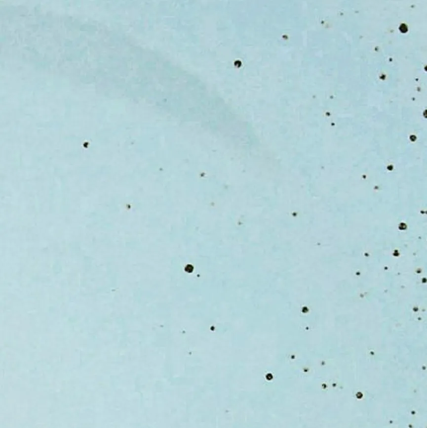 CreaTable Geschirr|Dessertteller Nature Collection Ø 21 cm