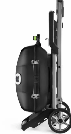 Online Elektrogrill TRAVELQ™ PRO285EX Napoleon Grills & Grillzubehör|Elektrogrills