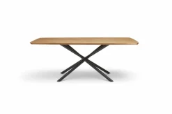 Best Esstisch Helmond 200 x 100 cm Esstische