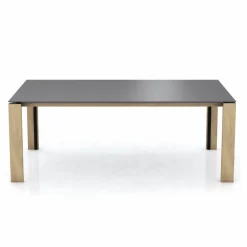 Mobitec Esstische|Esstisch Terra 220 x 100 cm