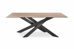 set one by Musterring Esstische|Esstisch Baltimore 200 x 100 cm