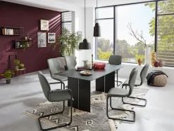 Musterring Freischwinger Nevio V1454