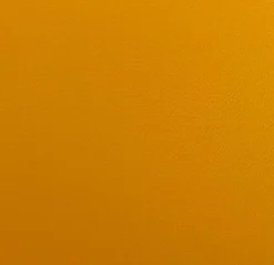 Freischwinger Nova N1014 Stühle