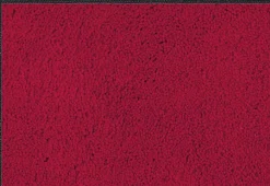 Clearance Fußmatte Regal Red 40 x 60 cm Fußmatten