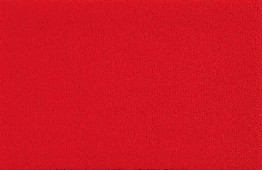 Discount Fußmatte Scarlet 50 x 75 cm Fußmatten