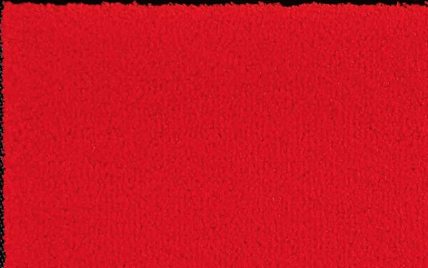 Discount Fußmatte Scarlet 50 x 75 cm Fußmatten