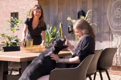 Hartman Gartensessel Sophie Studio