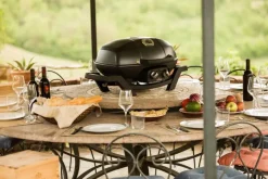 Sale Gasgrill TRAVELQ™ PRO285 Napoleon Grills & Grillzubehör