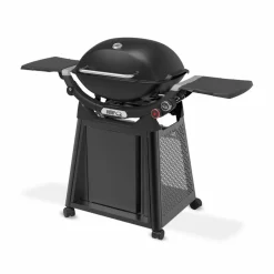 Weber Weber Grills & Grillzubehör|Gasgrills|Gasgrill -Q