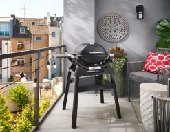 Weber Weber Grills & Grillzubehör|Gasgrills|Gasgrill -Q