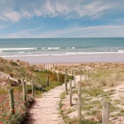 EUROART Glasbild 50 x 50 cm Beach walk V