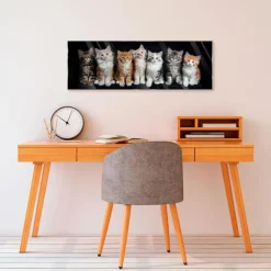 Outlet Glasbild 33 x 98 cm Cats Bilder Ohne Rahmen|Bilder Nach Themen