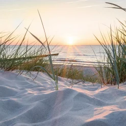 Online Glasbild 30 x 30 cm Sunset at the Beach II Bilder Ohne Rahmen|Bilder Nach Themen