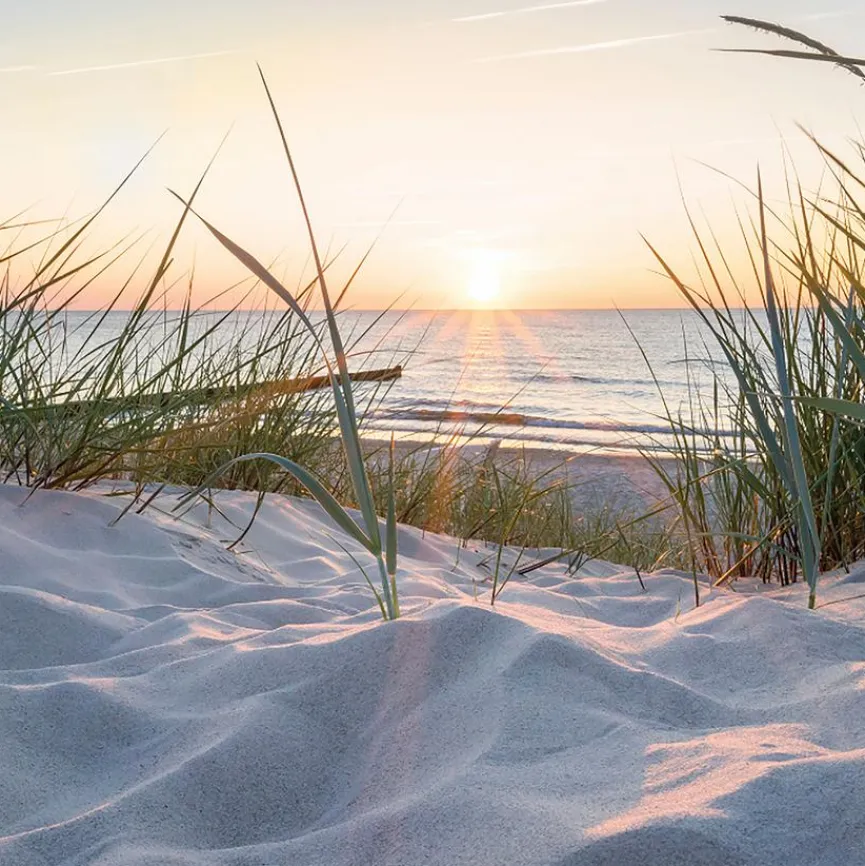 Online Glasbild 30 x 30 cm Sunset at the Beach II Bilder Ohne Rahmen|Bilder Nach Themen