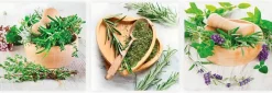 New Glasbild 3tlg. Fresh Herbs Bilder Ohne Rahmen|Bilder Nach Themen