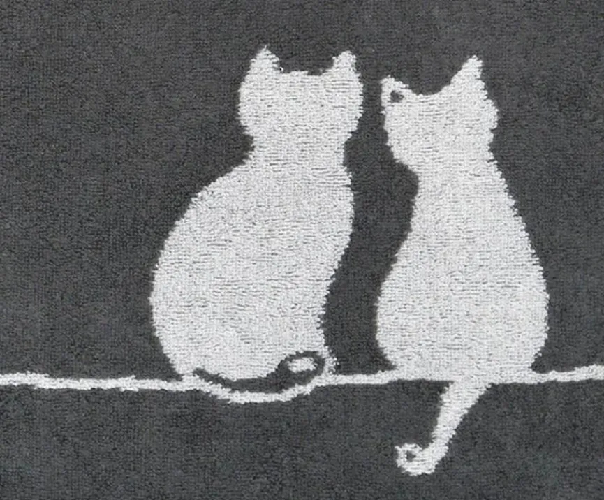 CaWö Hand- & Duschtücher|Gästetuch Cute Cats 30 x 50 cm