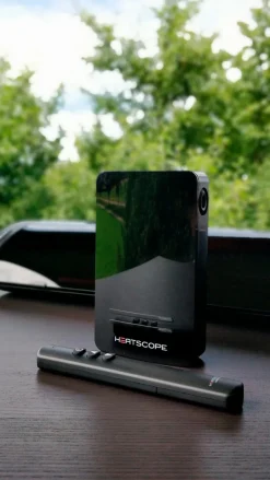 HEATSCOPE Gaslaternen & Heizstrahler|Heizstrahler Steuerungseinheit Smartbox