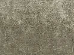 tommy m Hocker (729) Nono