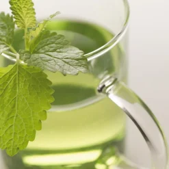 Leonardo Kaffee & Tee|Kaffeebecher Novo 350 ml