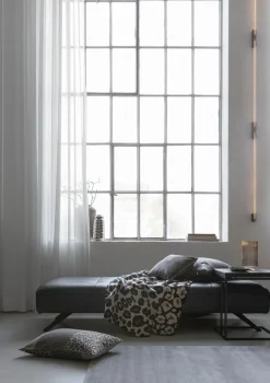 JOOP! Kissenbezug Leo 40 x 60 cm