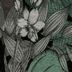 SCHÖNER WOHNEN-Kollektion Dekokissen & -Bezüge|Sitzkissen & Dekokissen|Kissenbezug Toucan 45 x 45 cm