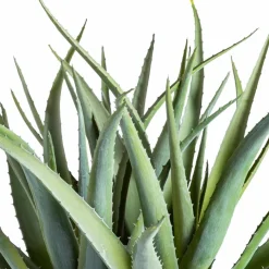 Hot Kunstpflanze Aloe 53 cm Grünpflanzen