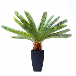 KARE DESIGN Kunstpflanze Cycas Tree 61200