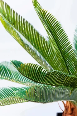 KARE DESIGN Kunstpflanze Cycas Tree 61200