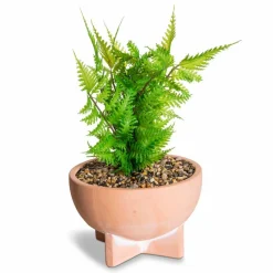 Kunstpflanze Farn
