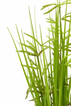 Grünpflanzen|Kunstpflanze Grasbusch 70 cm