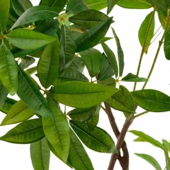 Online Kunstpflanze Pachira Grünpflanzen