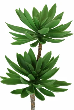 Kunstpflanze Succulenten 62 cm Grünpflanzen