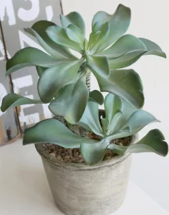 Kunstpflanze Sukkulente 25 cm