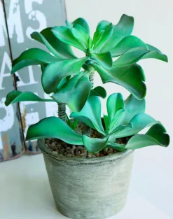 Kunstpflanze Sukkulente 25 cm