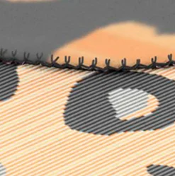 Biederlack Kuscheldecken|Decken|Kuscheldecke Wild Leo 150 x 200 cm