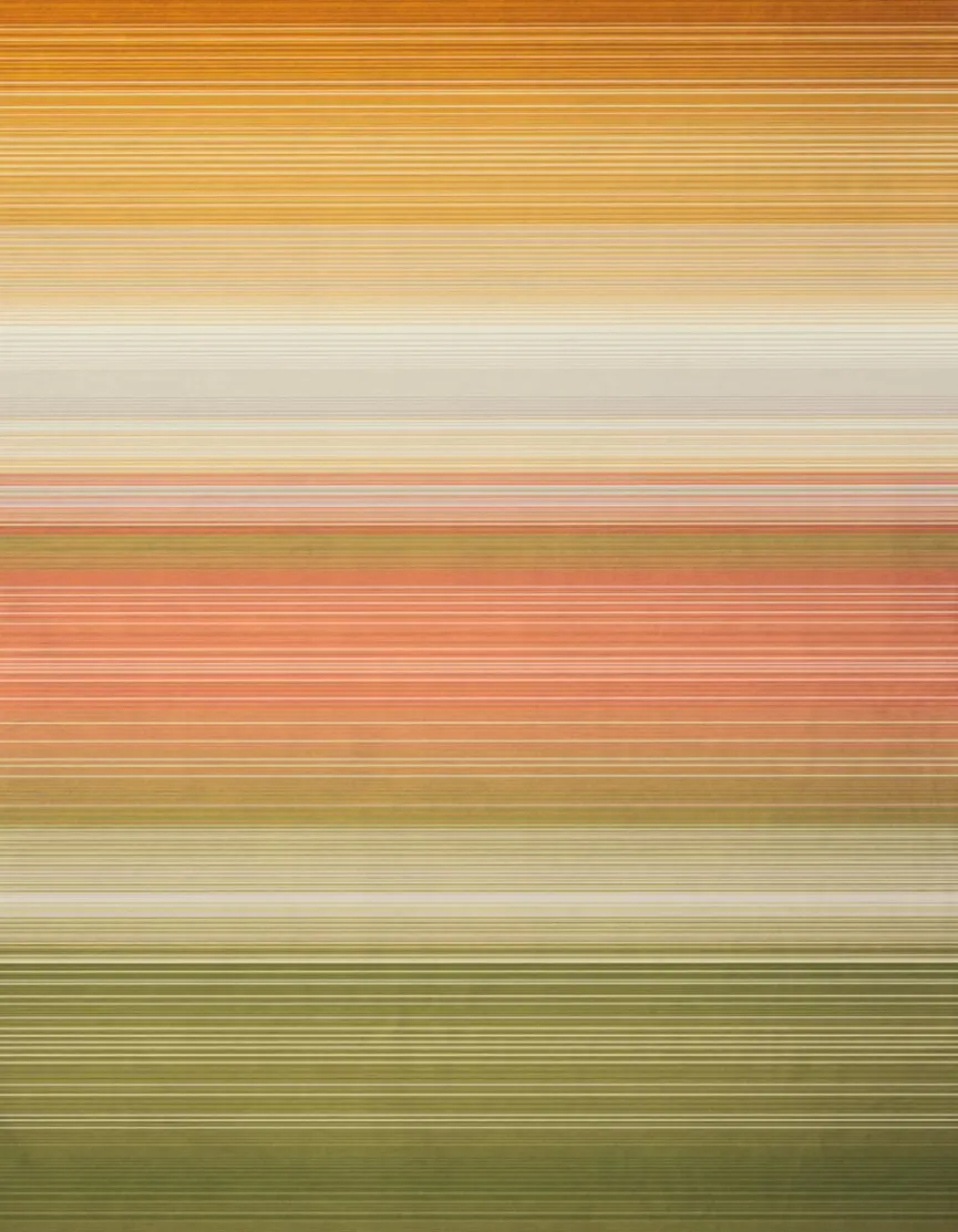 Kuscheldecke Woodland 150 x 200 cm Kuscheldecken|Decken