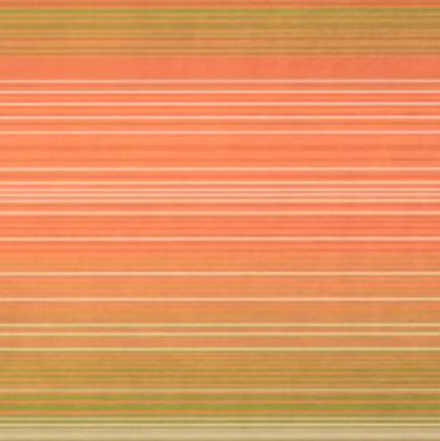 Kuscheldecke Woodland 150 x 200 cm Kuscheldecken|Decken