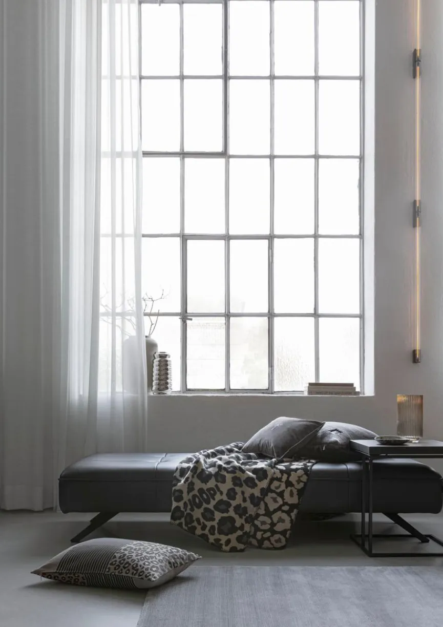 Best Kuscheldecke Leo 150 x 200 cm Kuscheldecken|Decken