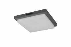 Trio Außenwandleuchten|LED-Außenwandleuchte Bermejo