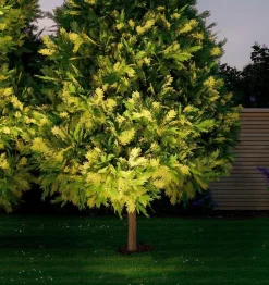 Discount LED-Bodeneinbauleuchte Plug&Shine Wege- & Bodenleuchten|Wege- & Bodenleuchten